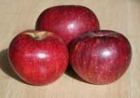 Gewrzluike