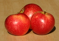 Sternrenette
