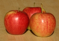 Zabergu