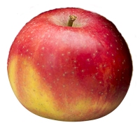 Berlepsch