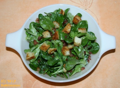 Feldsalat